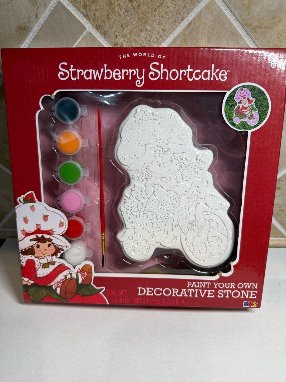 Strawberry Shortcake Paint Your Own Decorative Stone Craft Kit NEW 6+ RMS